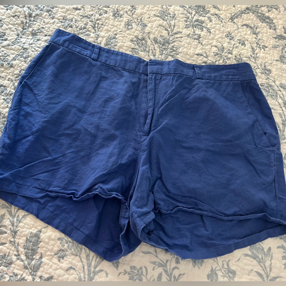 Banana Republic Blue Shorts
